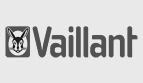 Vaillant